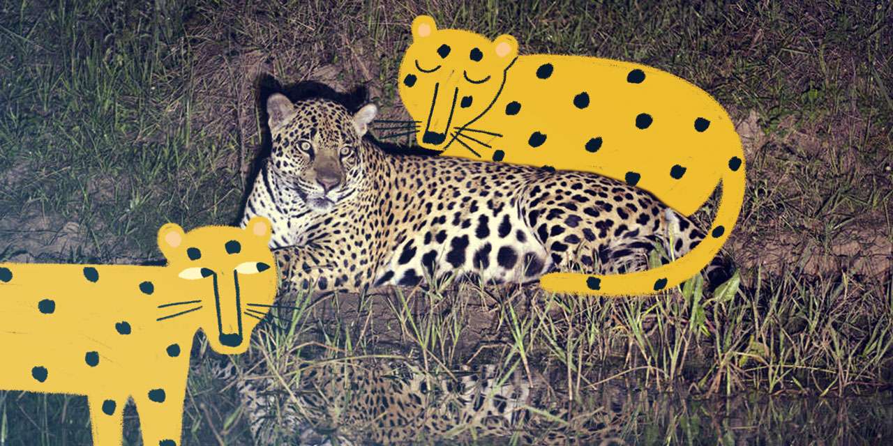 Pantanal com crianças