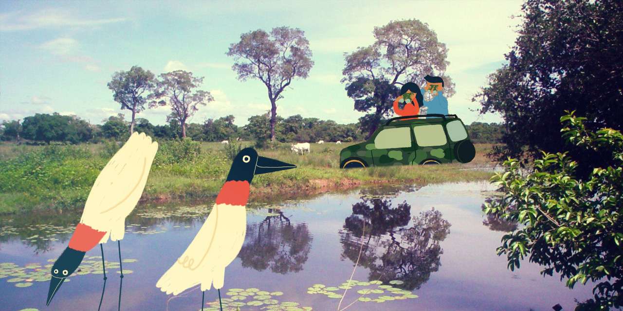 Pantanal com crianças